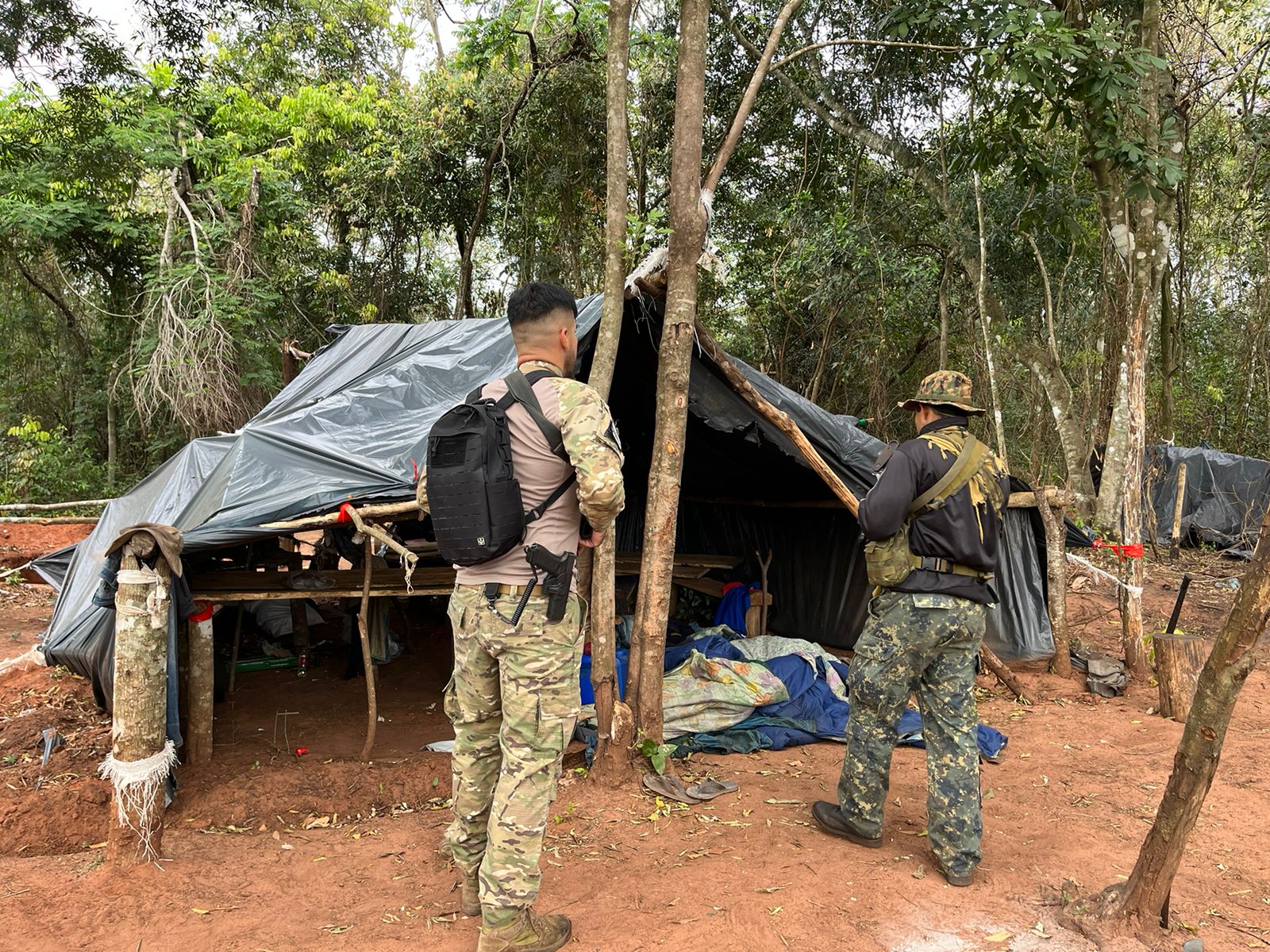 SENAD y el CODI inician ofensiva contra estructuras de producción de marihuana en Concepción