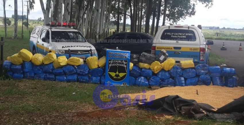 Policía Rodoviaria Militar incautó más de una tonelada de marihuana en Ponta PorÍ£