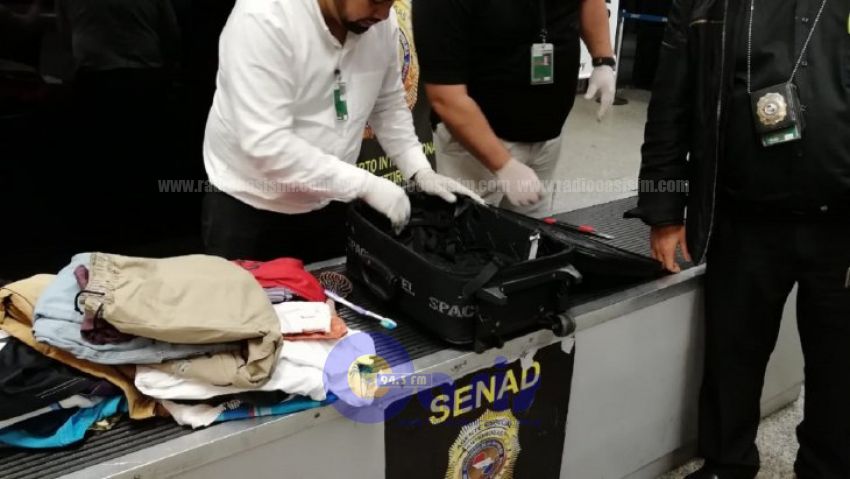 Can antidrogas detecta cocaína en la maleta de un británico