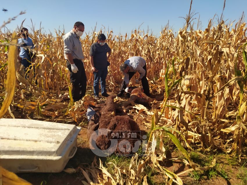 Hallan cadáver de un hombre que fue asesinado en zona de Zanja Pyta