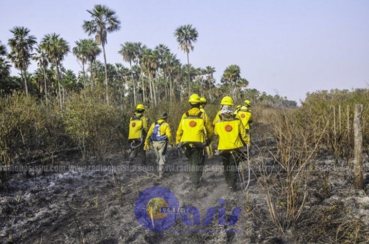 Se logra extinguir todos los focos de incendios forestales en el Chaco