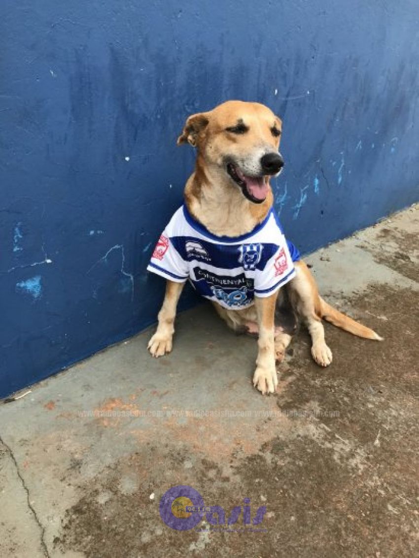 Tesapara estrenará camiseta contra Cerro Porteño