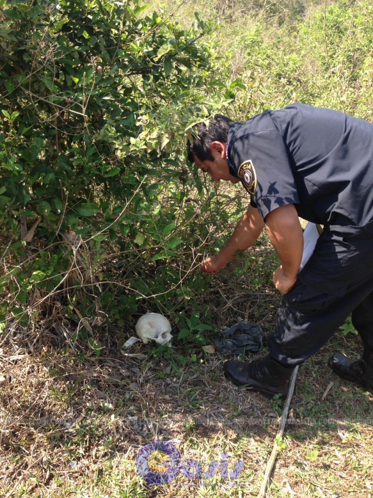 Encuentran restos óseos en estancia en zona de Zanja Pyta