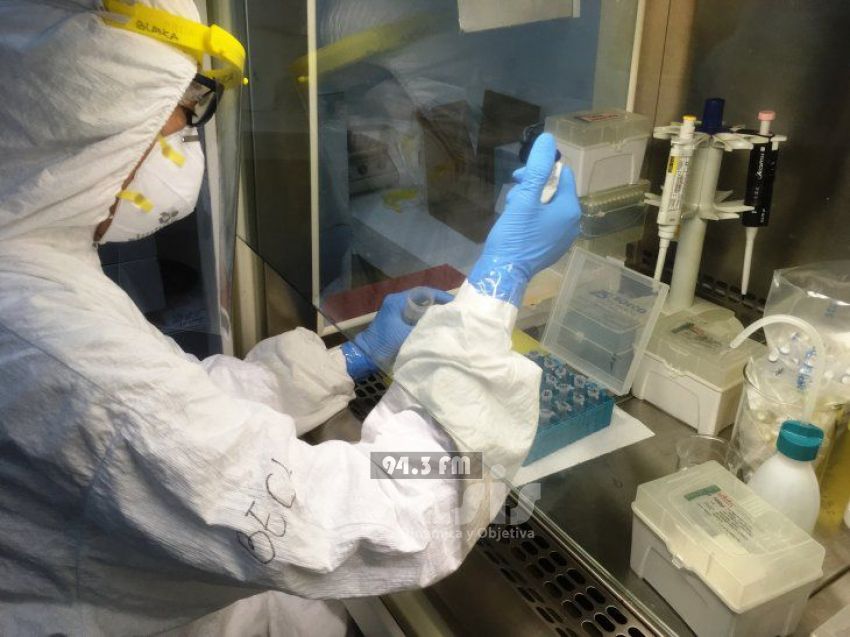 Cinco nuevos positivos de Covid-19 en  Paraguay, en total 1.308 casos 