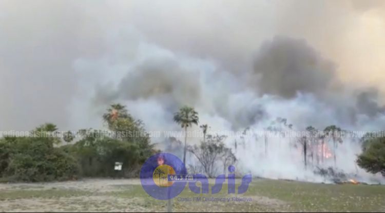 Incendio de gran magnitud en el Pantanal paraguayo