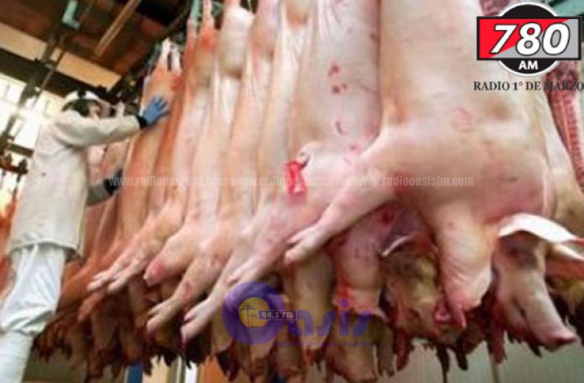 Lamentan frontera permeable por ingreso de carne porcina desde el Brasil