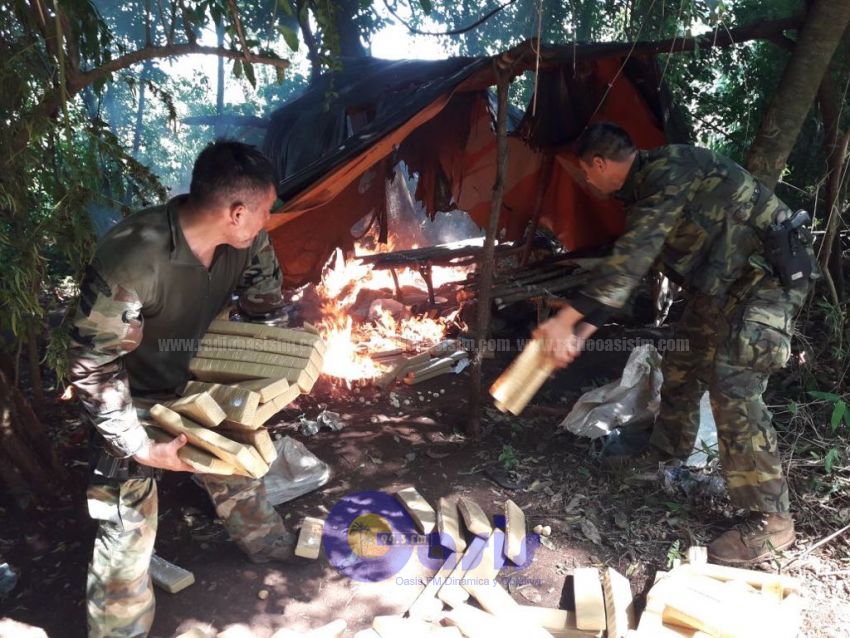 Senad destruye 100 toneladas en operativo Amambay I