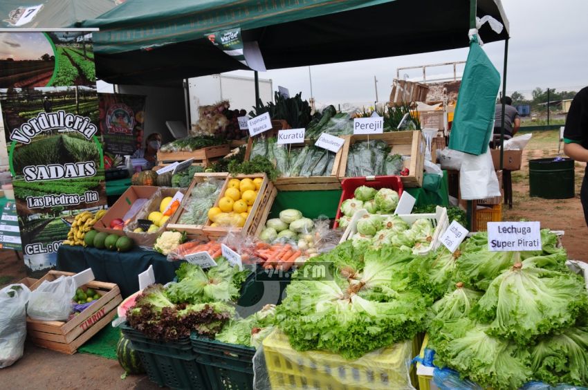 Gran feria verde en Concepción este 6 de septiembre