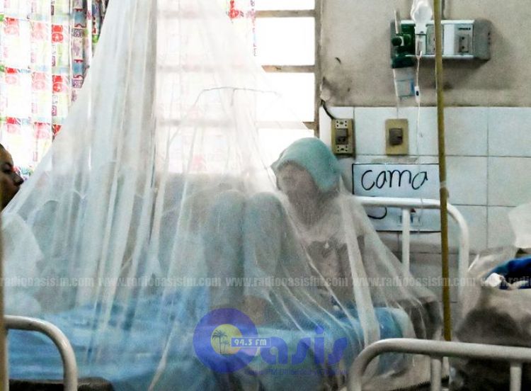 Se confirman 4 muertes por dengue y más de mil casos