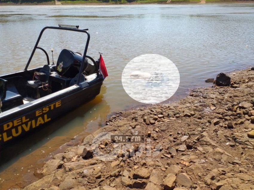 Hallan cadáver a orillas del río Paraná en Presidente Franco