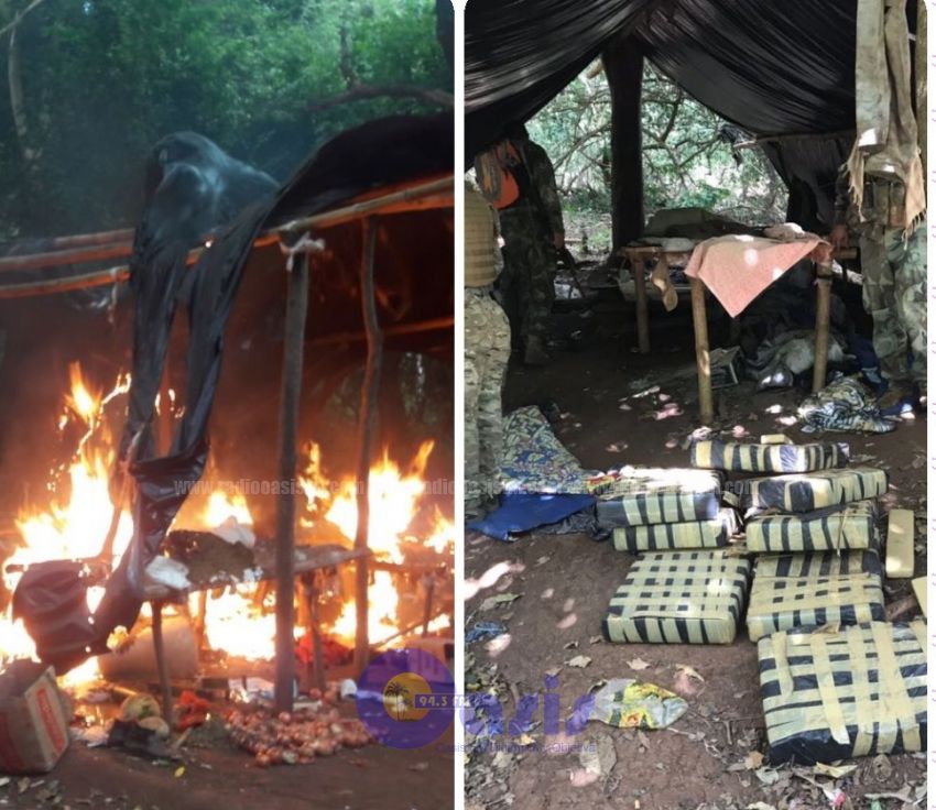 Senad destruye 6 toneladas y media de marihuana en la colonia Santa Clara