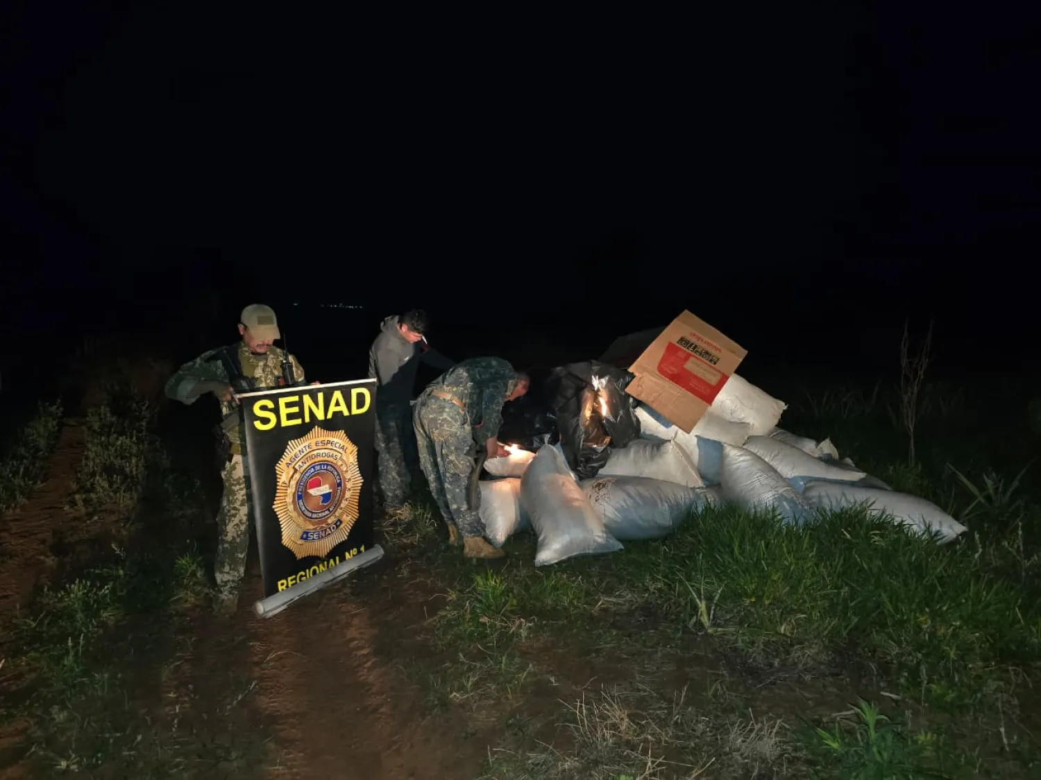 SENAD incauta más de 2.600 kg de marihuana en operativo en Karapai, Amambay