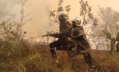Al menos 34 muertos por incendios forestales en Argelia