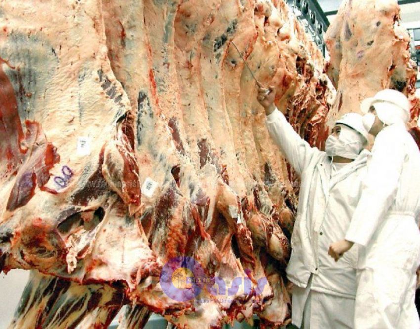 Senacsa siempre negó contrabando de carne por Pedro Juan
