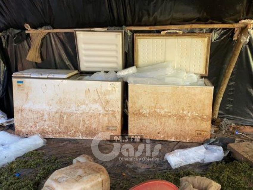 Senad destruye laboratorio de procesamiento de marihuana congelada en Karapaí