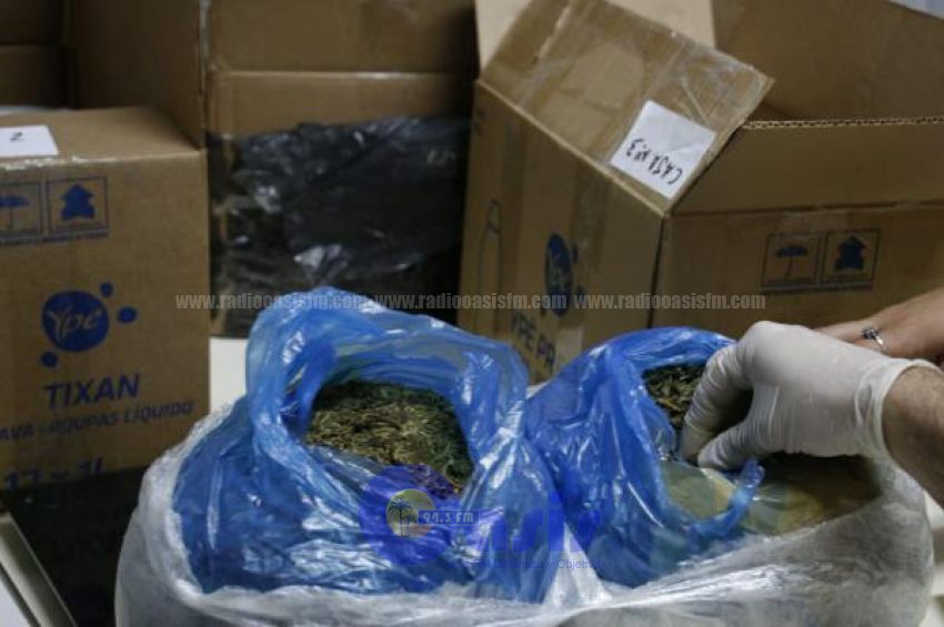Transportan espigas de marihuana en encomiendas desde Pedro Juan Caballero a Asunción