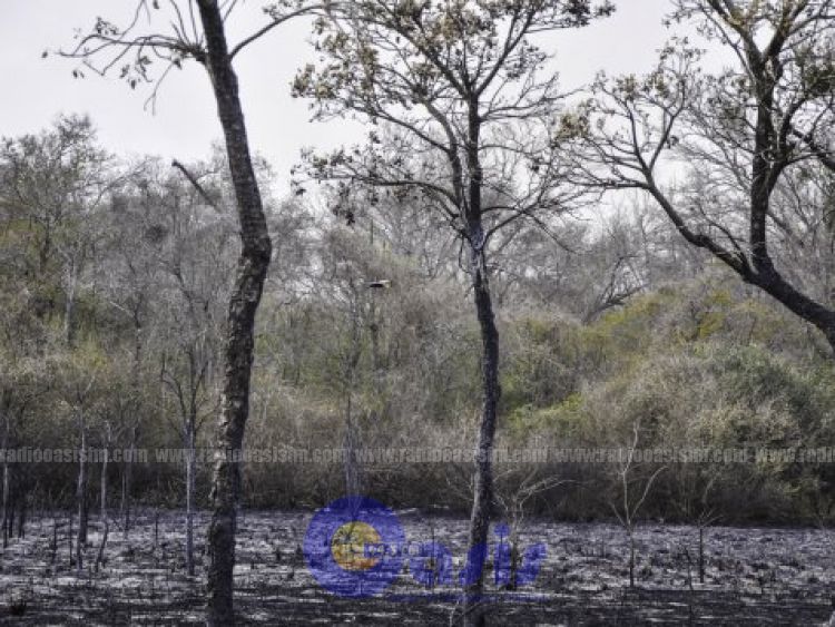 Arduo trabajo para contener nuevos focos de incendio en el Chaco