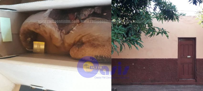 Disparan sobre una vivienda y dejan una lengua de vaca con candado en Pedro Juan