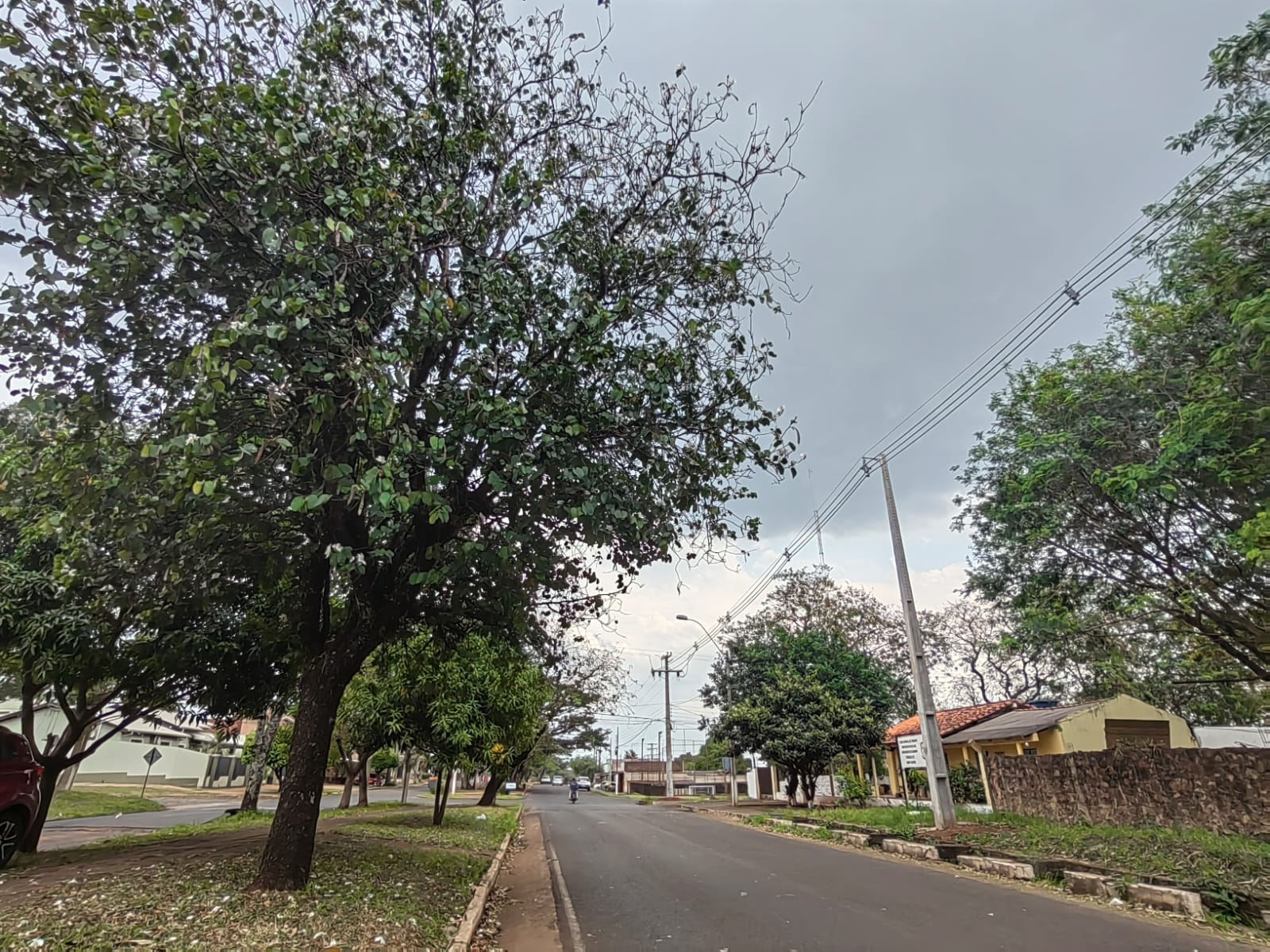 Ingreso de frente de tormentas desde esta jornada