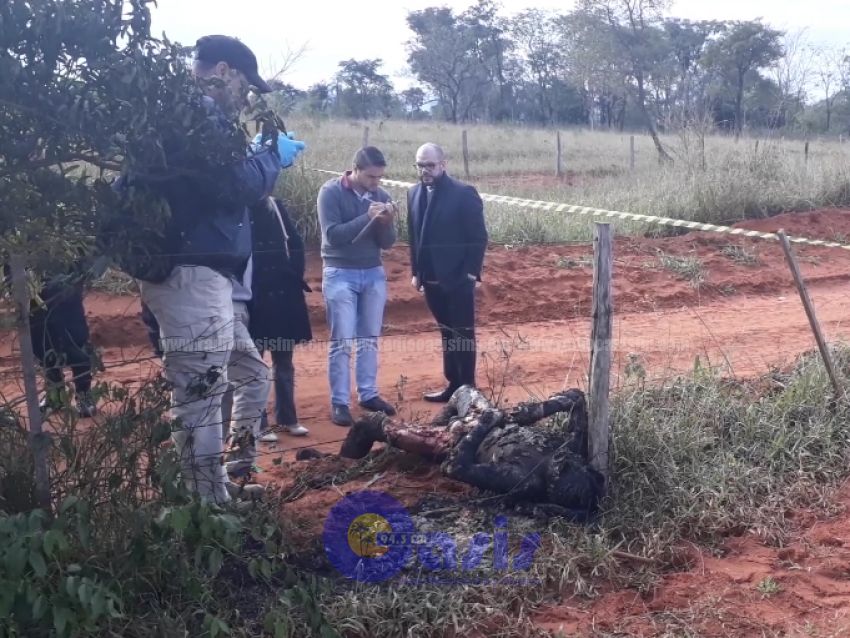Hombre hallado calcinado  también  fue consumido por animal