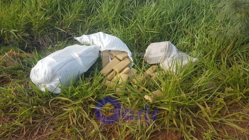 Encuentran bolsas de marihuana abandonada en Pedro Juan