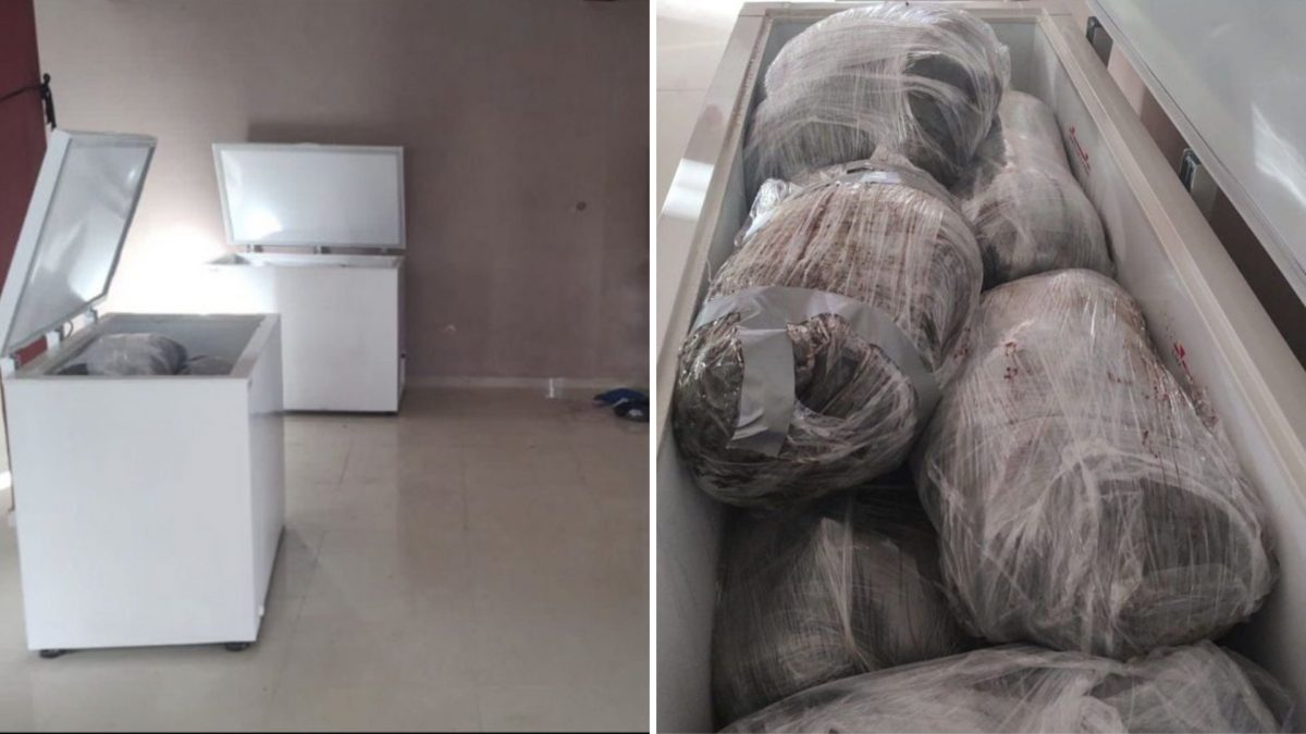 Hallan decenas de restos humanos en congeladores. Ocurrió en el este de México
