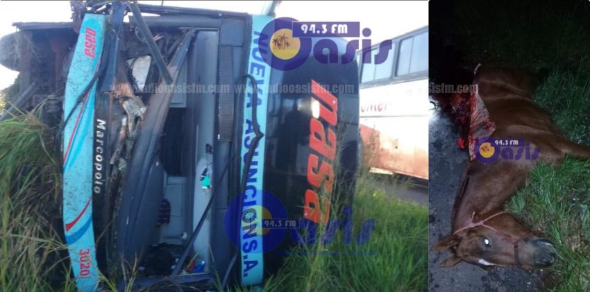 Ómnibus vuelca luego de chocar contra un caballo en zona de Cuero Fresco
