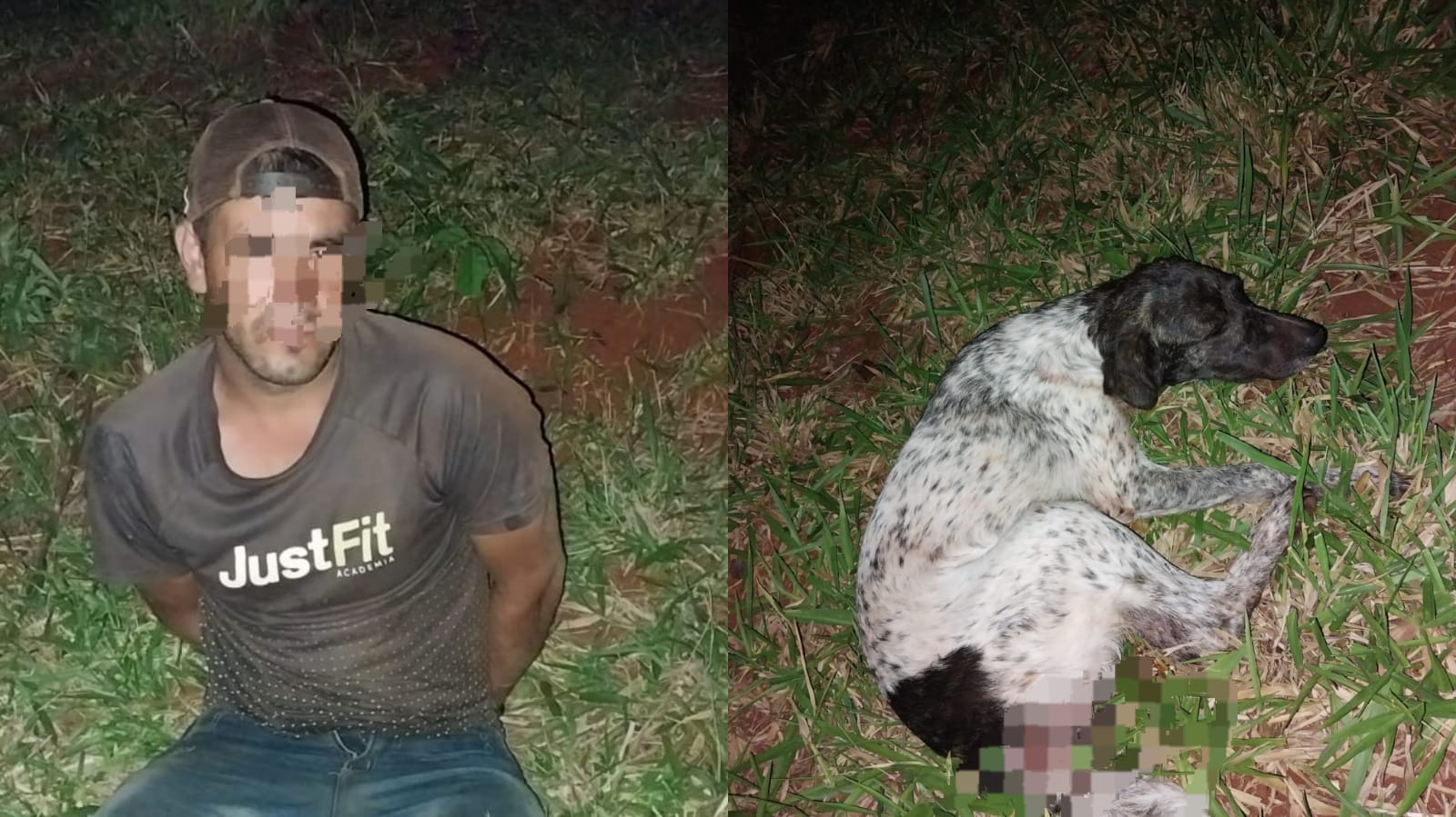 Aprehenden a presunto zoofílico en la Colonia Sata Clara