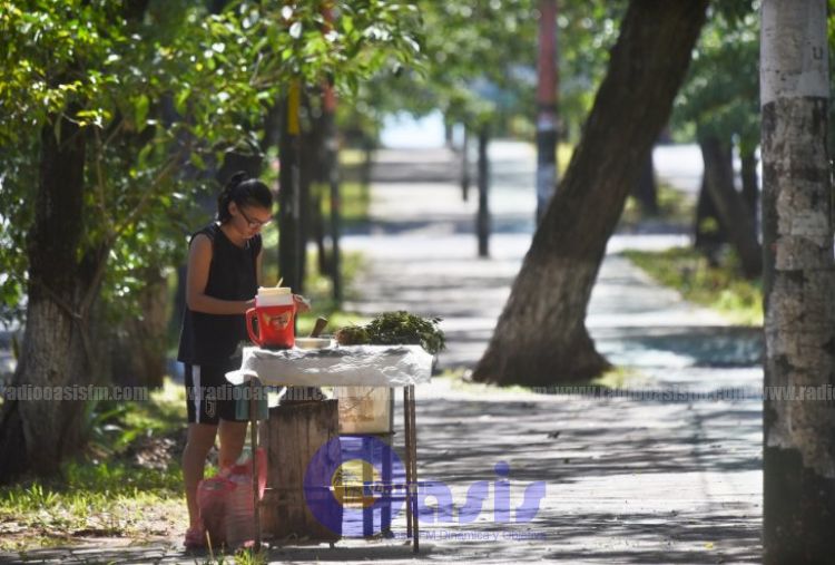 Primer desembolso de Hacienda será para 20.000 familias