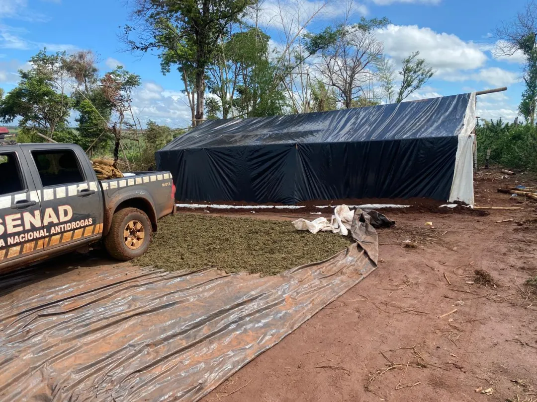 Base de producción narco es anulada por la SENAD en Capitán Bado