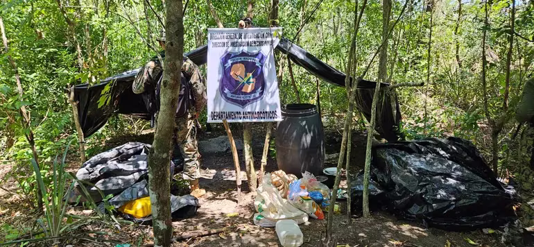 Encuentran y destruyen campamento narco en la reserva natural Paso Bravo