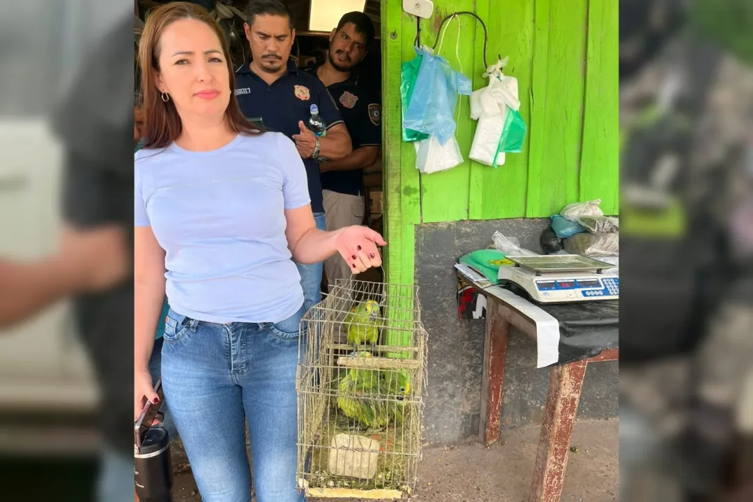 Conocido comercio ubicado en el Mercado Municipal fue intervenido por venta ilegal de aves