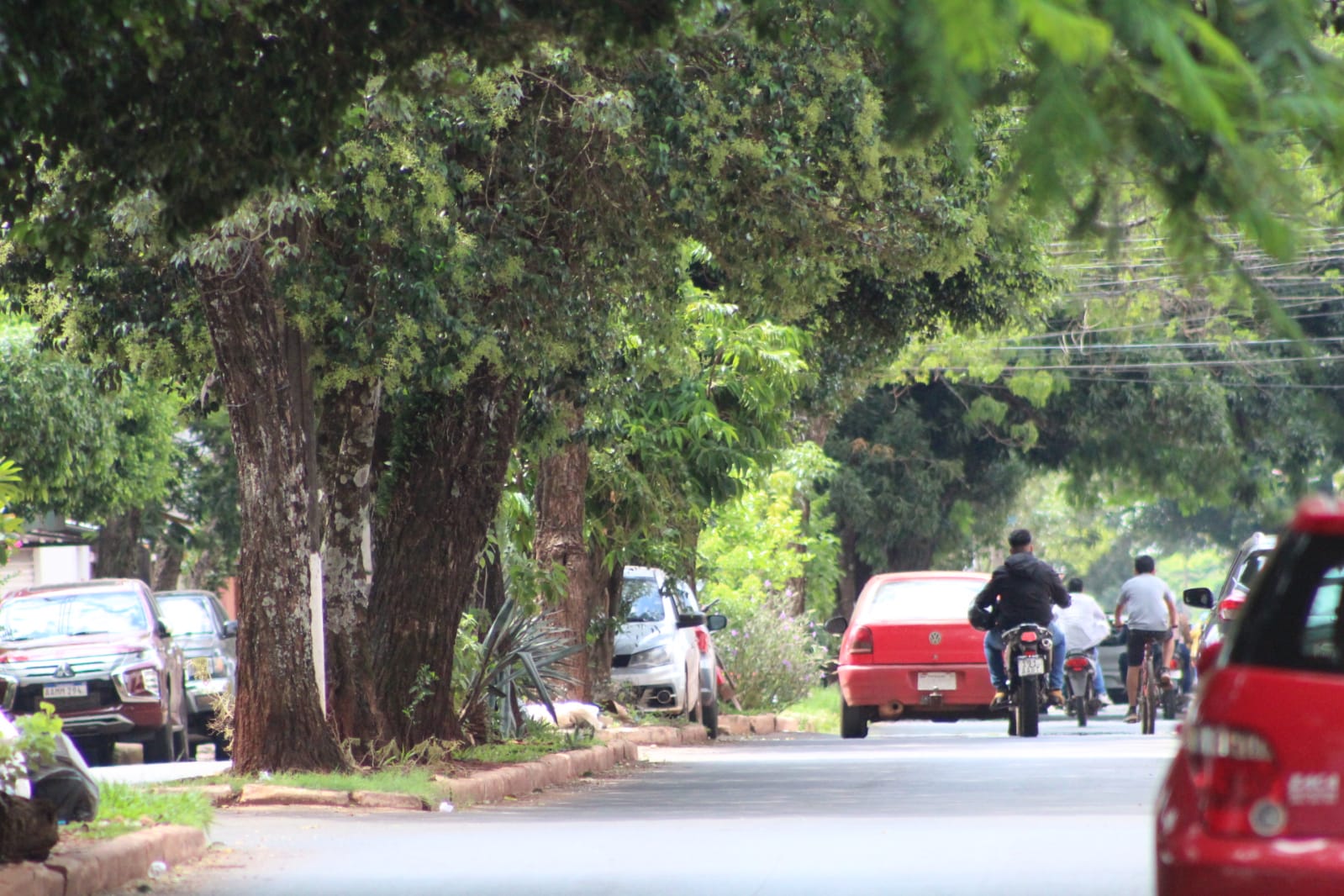 Lunes inestable y lluvioso en algunas regiones del país