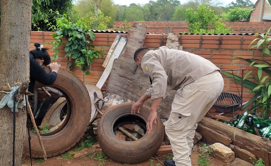 Declaran contingencia ambiental a nivel país ante epidemia de dengue y chikungunya