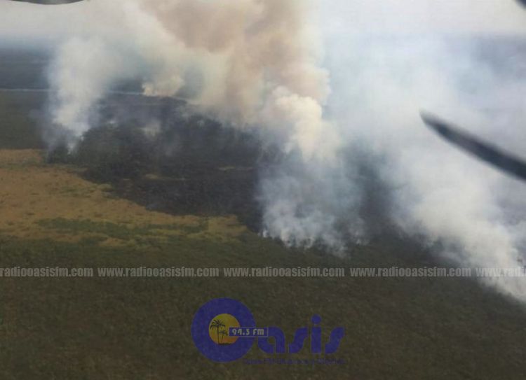 Guyra Paraguay advierte que todos los incendios forestales fueron provocados