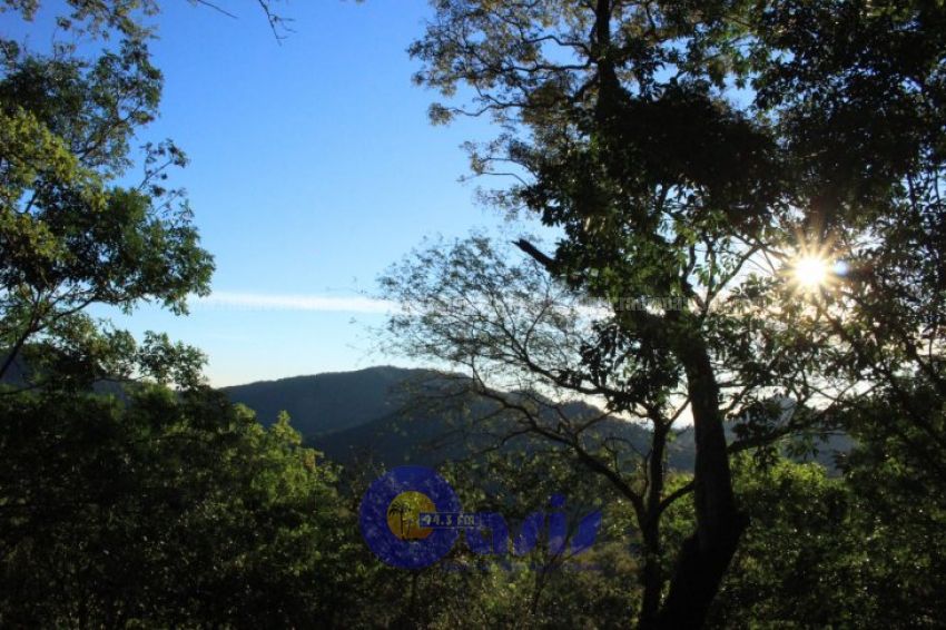 Jueves con calor y mucha humedad, anuncia Meteorología