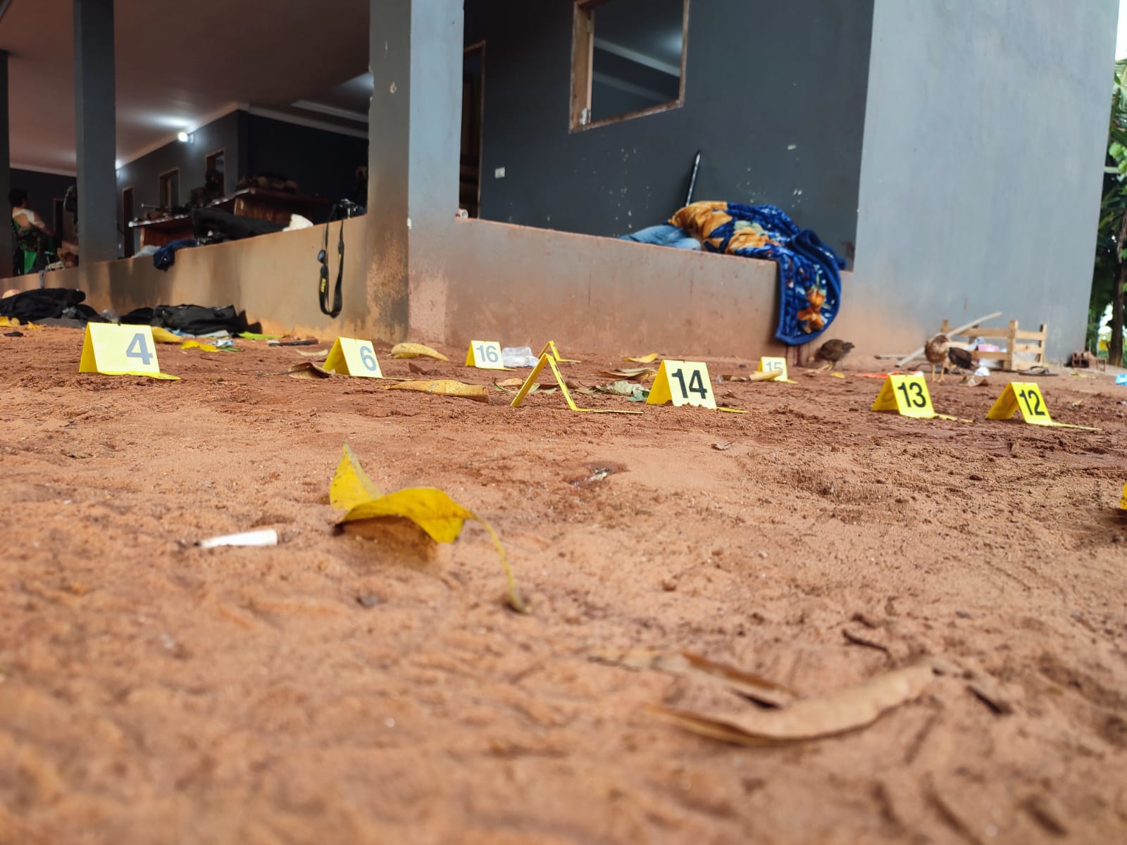 En 24 horas, se reportan 22 muertes en lucha contra el crimen organizado