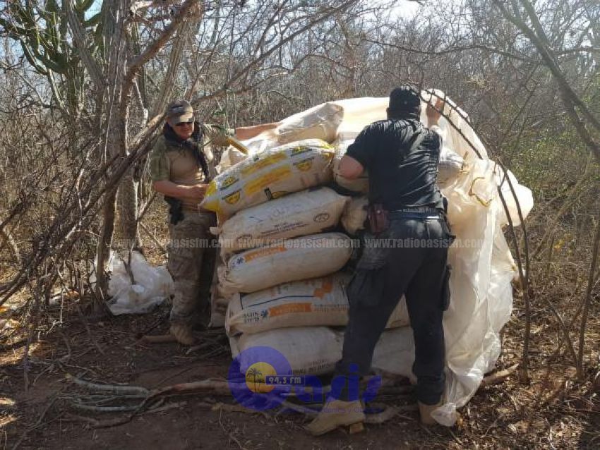 SENAD incautó el mayor cargamento de marihuana en territorio chaqueño
