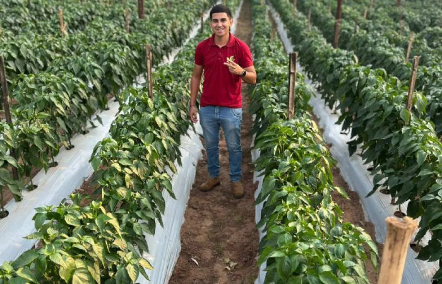 Emprendimiento sanpedrano crece con Hambre Cero y moviliza G. 300 millones