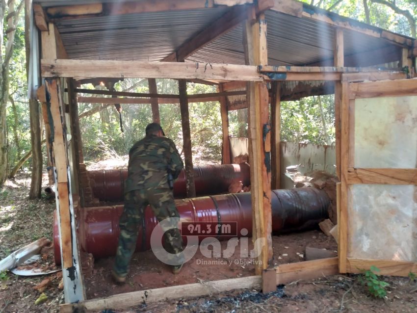 Desarticulan narcoinvernaderos en operación Nueva Alianza XXXI