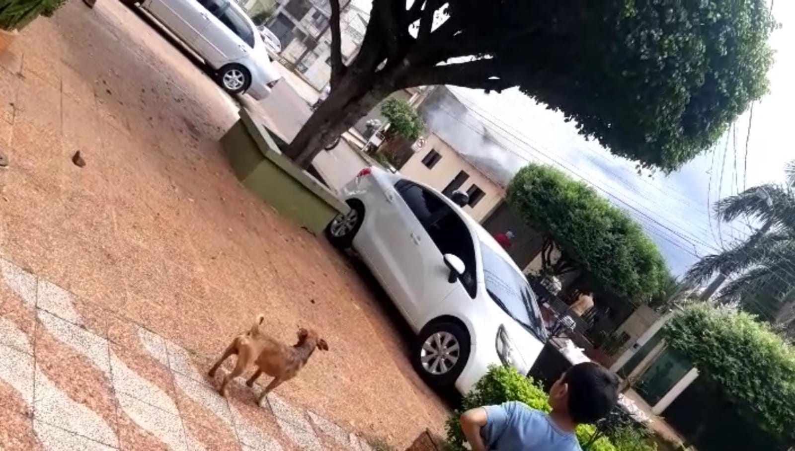 Fuga de gas ocasionó incendio de vivienda