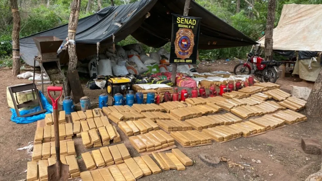 Narcos tenían hasta un corral con cerdos y gallinas en medio del bosque en Bella Vista Norte