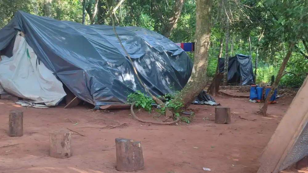 Allanan base narco e incautan más de 2 toneladas de marihuana en Yby Yaú