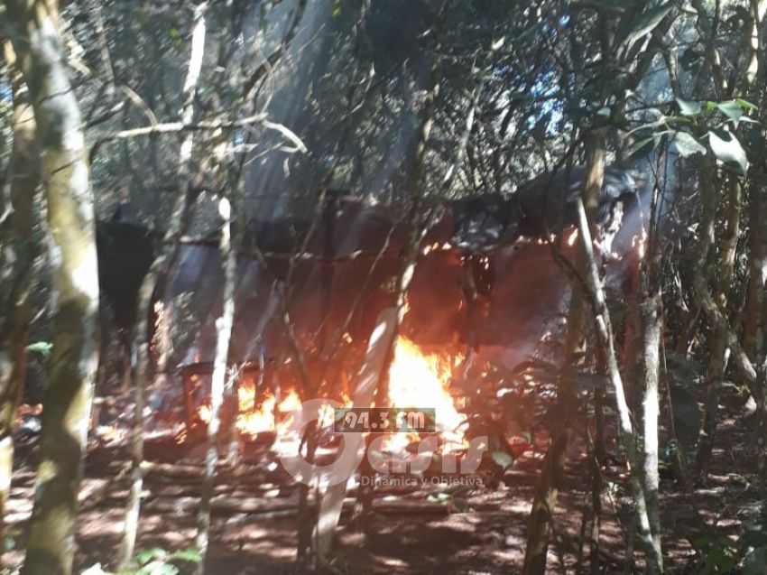 Buscan a joven desaparecido en zona de Pedro Juan y destruyen marihuana