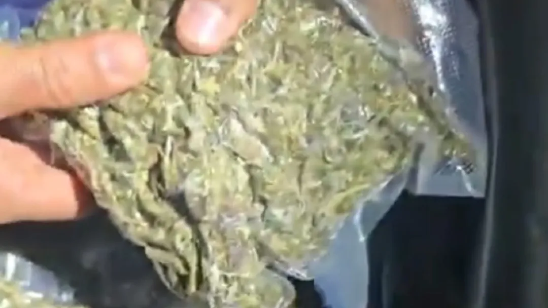 Cuatro personas fueron detenidas con marihuana de alta pureza