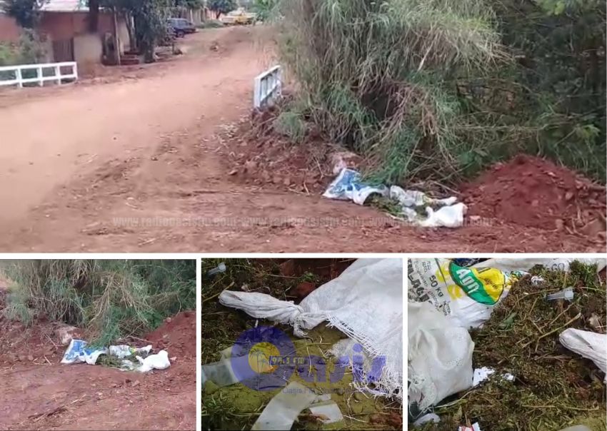 Arrojan marihuana al costado de un puente en Pedro Juan