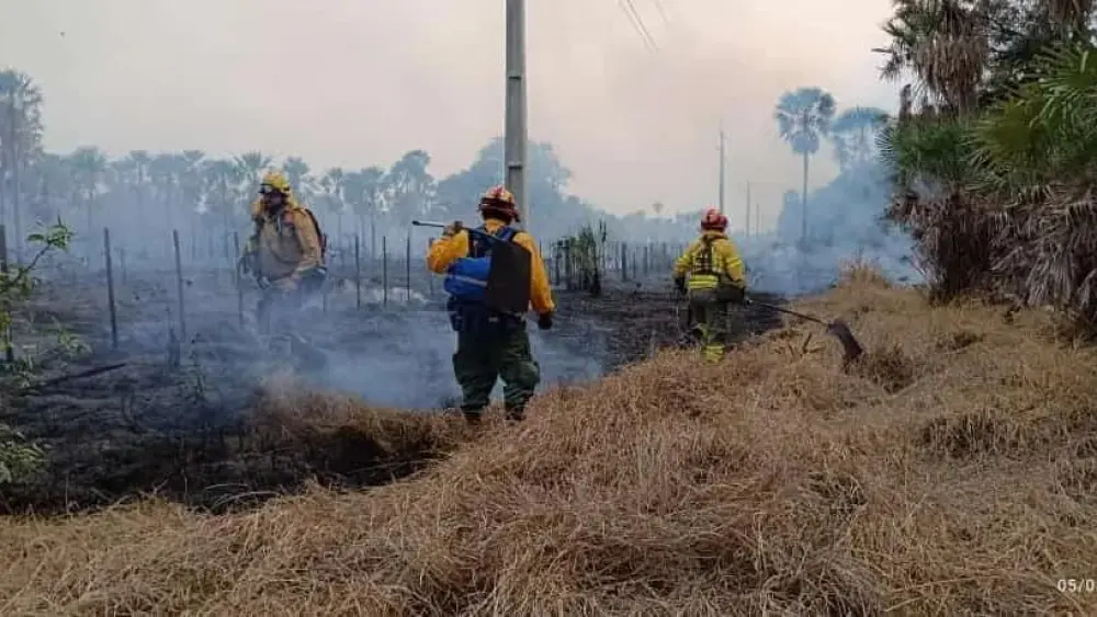 Chaco: Controlan incendio forestal en gran medida en Toro Pampa y se espera ansiada lluvia
