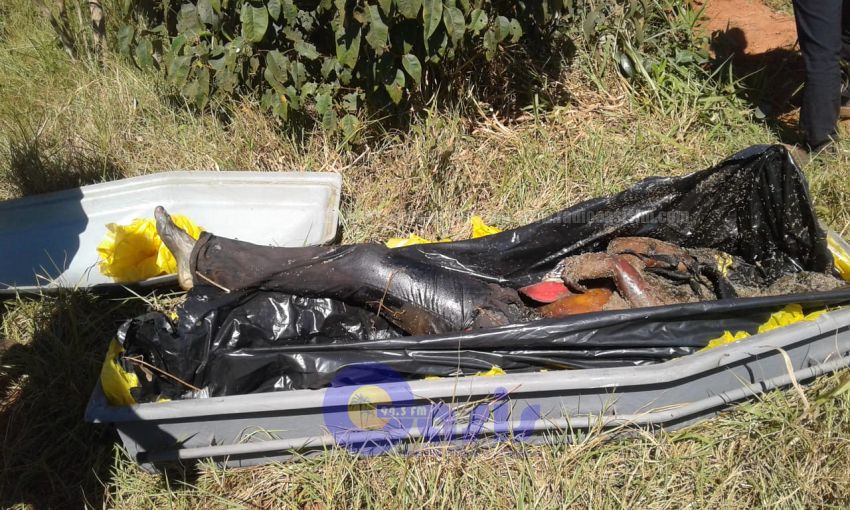 Joven dado como desparecido fue encontrado muerto en Pedro Juan