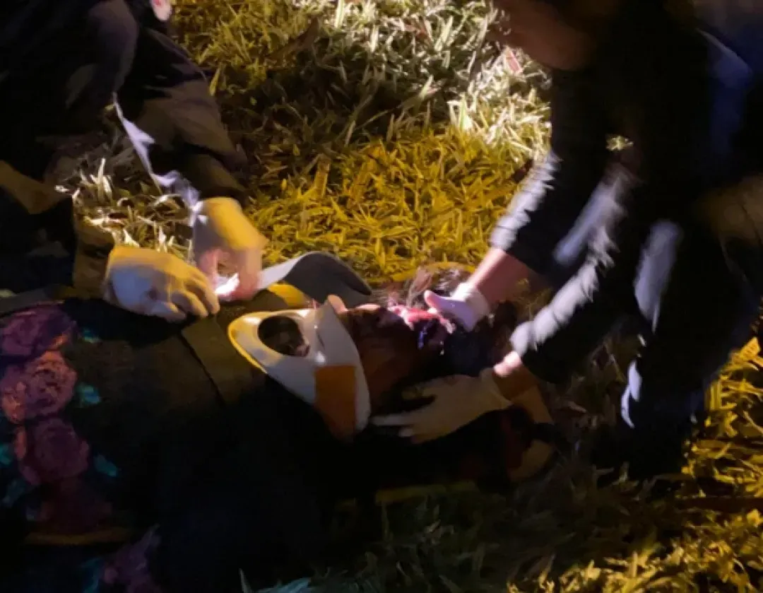 Accidente en Avda. Fernando de la Mora deja a dos menores heridas