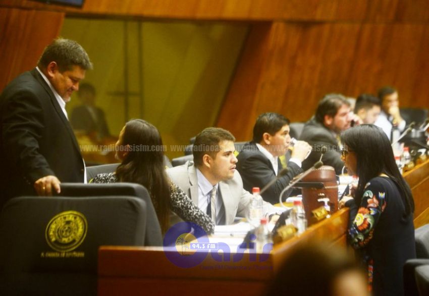 Diputados de ANR y PLRA traban publicar sus bienes